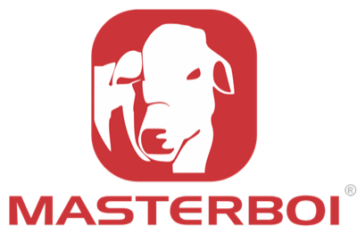 Masterboi